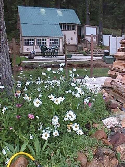cabin flowers